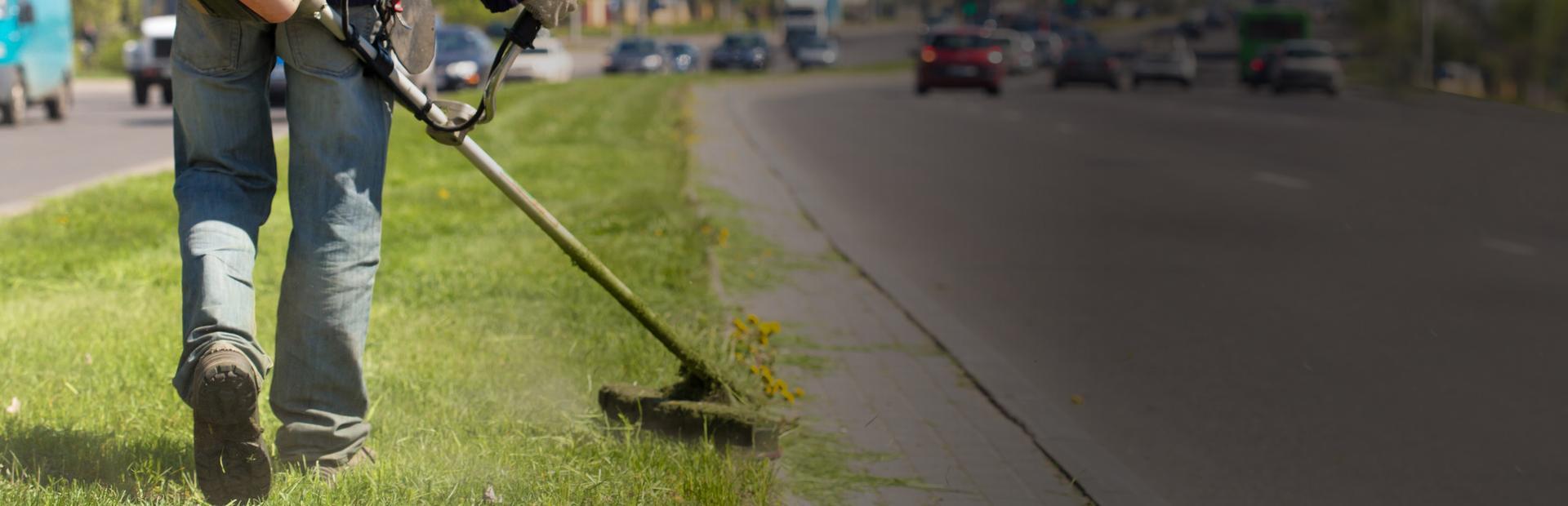 Pielęgnacja pasów zieleni