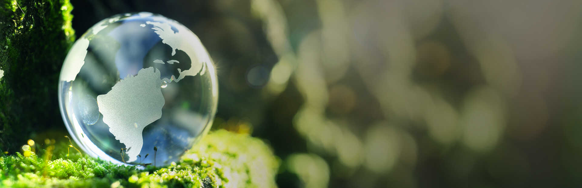 slider szklany globus na mchu